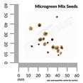 thumbnail image 3 of Ferry-Morse 2G MicroGreens Rainbow Mix Annual Vegetable Seeds, Full Sun, 3 of 10
