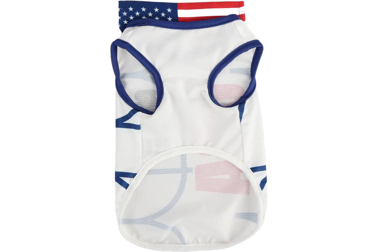 FIFA World Cup 2026 Team USA Pet Soccer Jersey and Bandana for Cats & Dogs, 2 pack, Small
