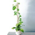 thumbnail image 4 of Bgsha Plant Climbing Columns 2pcs White PPP Material Moss Poles Support, 4 of 10