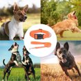 thumbnail image 5 of Collier pour Chien, Collier Basique Avancé pour Petits, Moyens et Grands Chiens, Tissu Ruban Réglable, 5 of 5