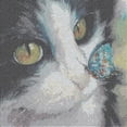 thumbnail image 2 of Diamond Painting Full Round Kit, Cat With Butterfly 30 X 30 Cm, Diamond Embroidery Animals Full Diamond Painting Kit 5d Rhinestone Picture Craft For H, 2 of 4