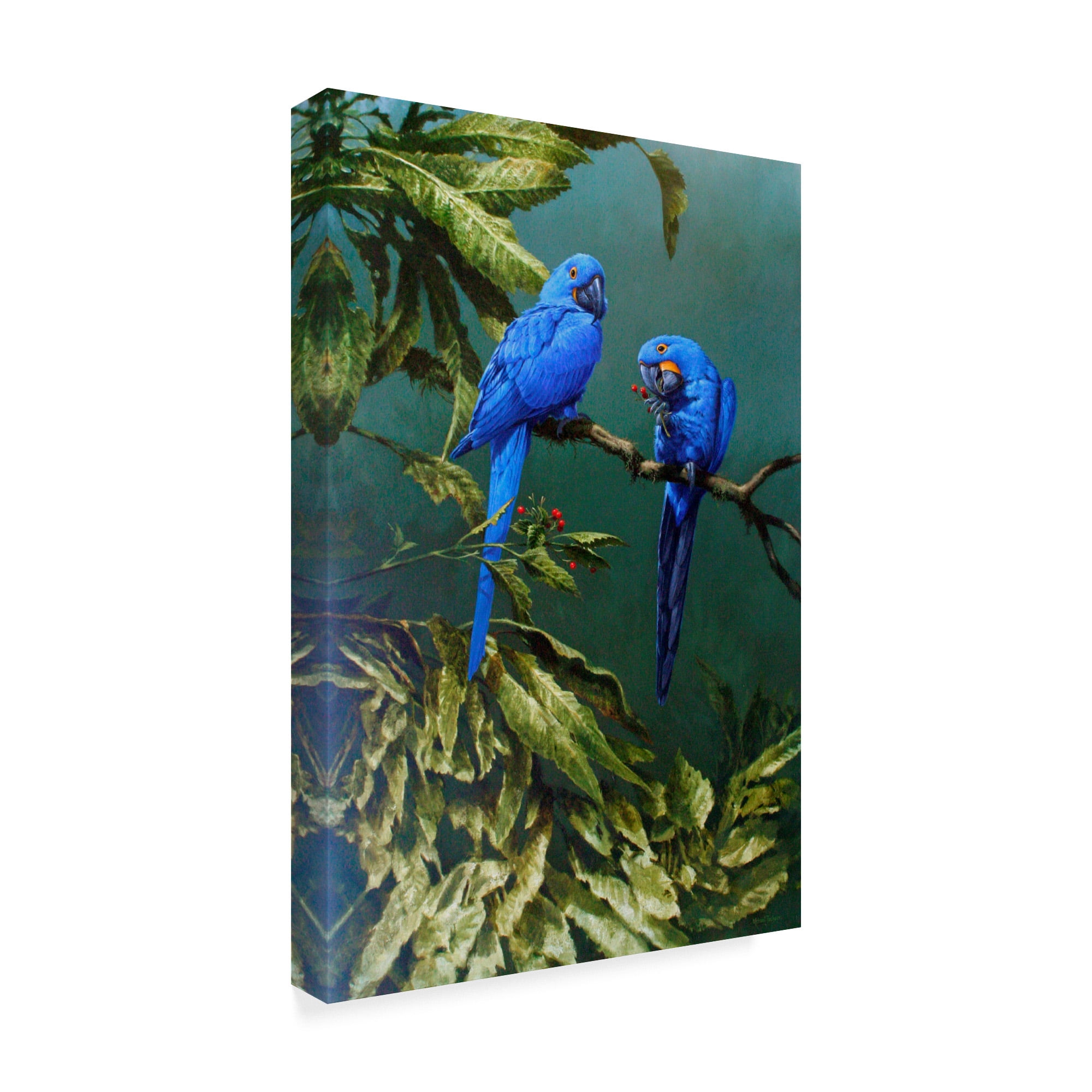 Trademark Fine Art 'Two Blue Macaws' Canvas Art by Michael Jackson