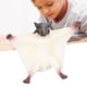 thumbnail image 4 of Juguete Modelo De Ratón Simulado, Mejora La Curiosidad, Pose Activa, Modelo De Ratón Falso, Juguete De Plástico Resistente, Forma Realista Para Regalo De Cumpleaños ANGGREK AC7058, 4 of 8