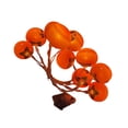 thumbnail image 1 of Lámpara de caqui para decoración de año chino, iluminación festiva práctica y creativa para exteriores, interiores, fiestas, jardín, casa y 15 m 10 ledes, 1 of 7