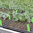 thumbnail image 2 of 20 piezas de plástico para plantas, etiquetas para jardín, vivero, maceta, etiquetas para plántulas Sywqhk Libre de BPA, 2 of 7