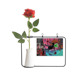 thumbnail image 1 of Mareado y caída primera Art Botella de decoración de jarrones colgantes de flores rosas artificiales, 1 of 3
