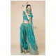 thumbnail image 5 of Disfraz de princesa árabe, vestido de danza del vientre, danza india, bordado, Bollywood, disfraz de jazmín, disfraz de fiesta para mujer, atuendo elegante, 5 of 5