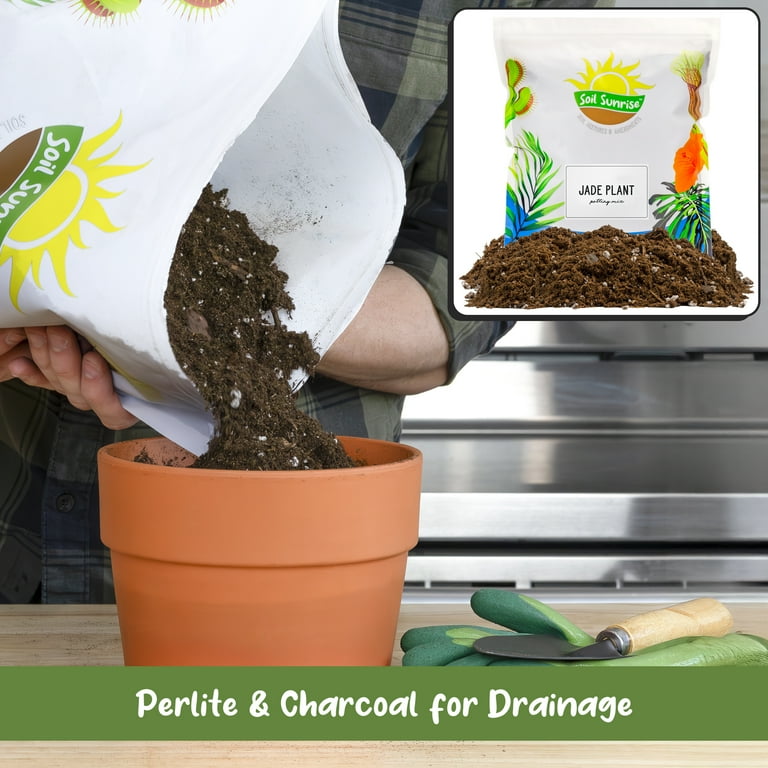 Soil Sunrise Indoor Jade Plant Potting Mix (8 Quarts), Hand