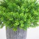 thumbnail image 5 of Toystoory Trébol artificial de cuatro hojas para el hogar y la oficina, planta falsa, adorno para fiesta de boda, planta de trébol Plantas Artificiales verde Toystoory HA6709-01B, 5 of 6