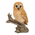 thumbnail image 3 of Hi- Line Gift 87717-B Statue de Hibou Fauve sur Souche, 3 of 5