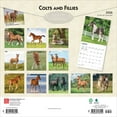 thumbnail image 2 of Colts and Fillies | 2026 12x24" (Hanging) Square Wall Calendar | Plastic-Free, 2 of 9