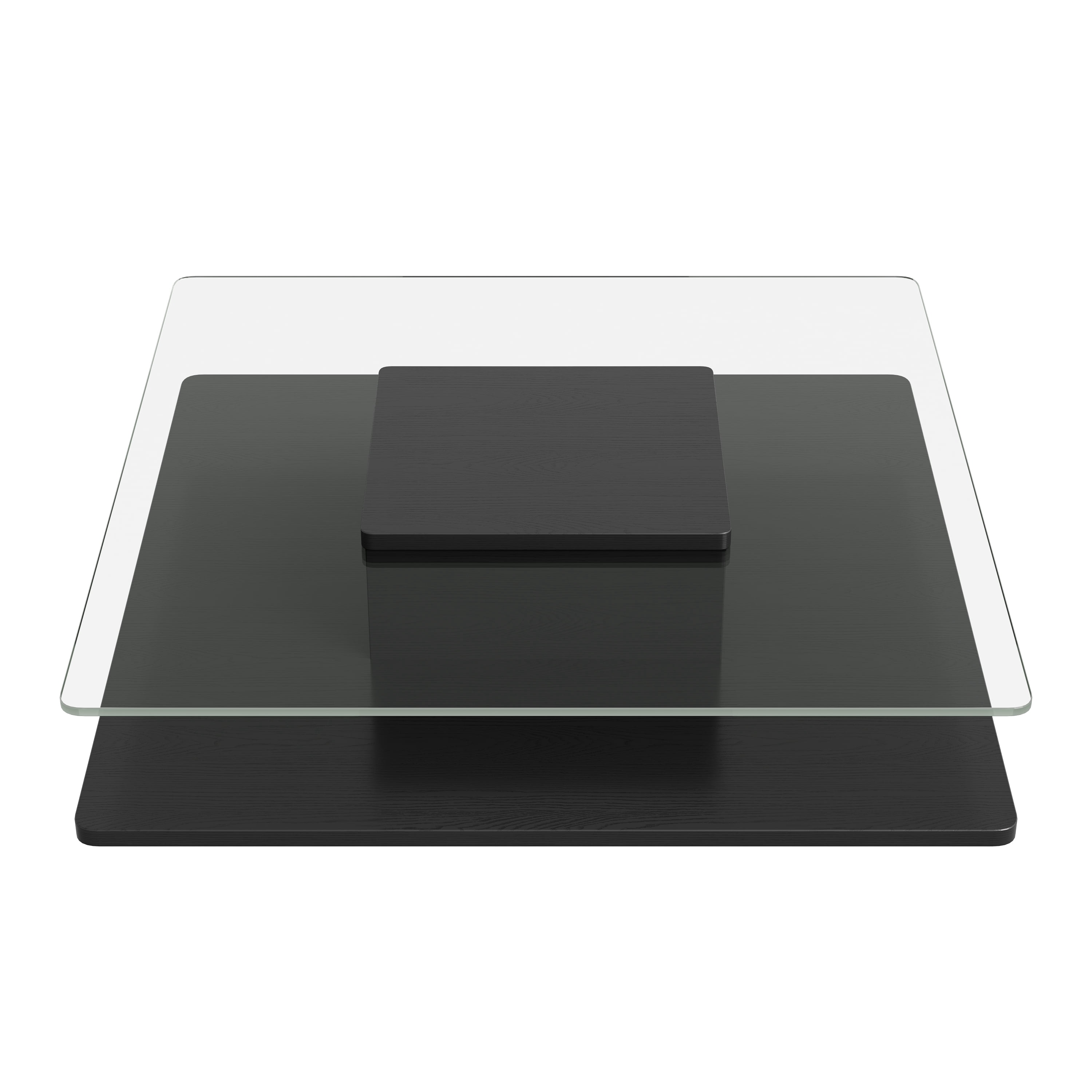 GARITIN Coffee Table 31.5 Inch, Square Tempered Glass Top with Storage Shelf and Black Finish Frame for Living Room