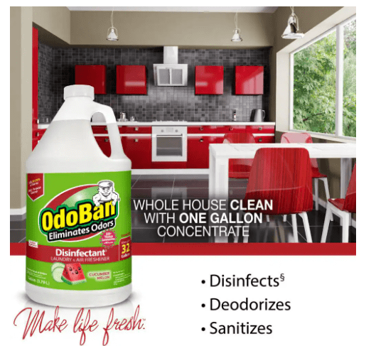 OdoBan 1 Gal. Cucumber Melon Disinfectant, Laundry and Air Freshener, Mold and Mildew Control, Multi-Purpose Concentrate