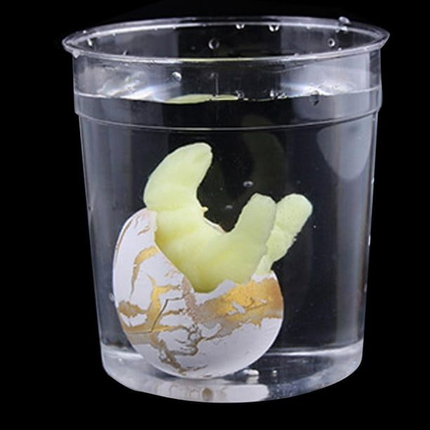3 uds huevos de dinosaurio agua magica Dino eclosion creciente juguete jugar divertido regalo de Navidad Zulema Huevo de dinosaurio