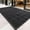 Black, variant on WANLISELL 3 x 5 ft Anti-Slip Carpet Door Mat, Entrance Floor Doormat, Entry Carpet Indoor Outdoor Entryway Rug, Brown