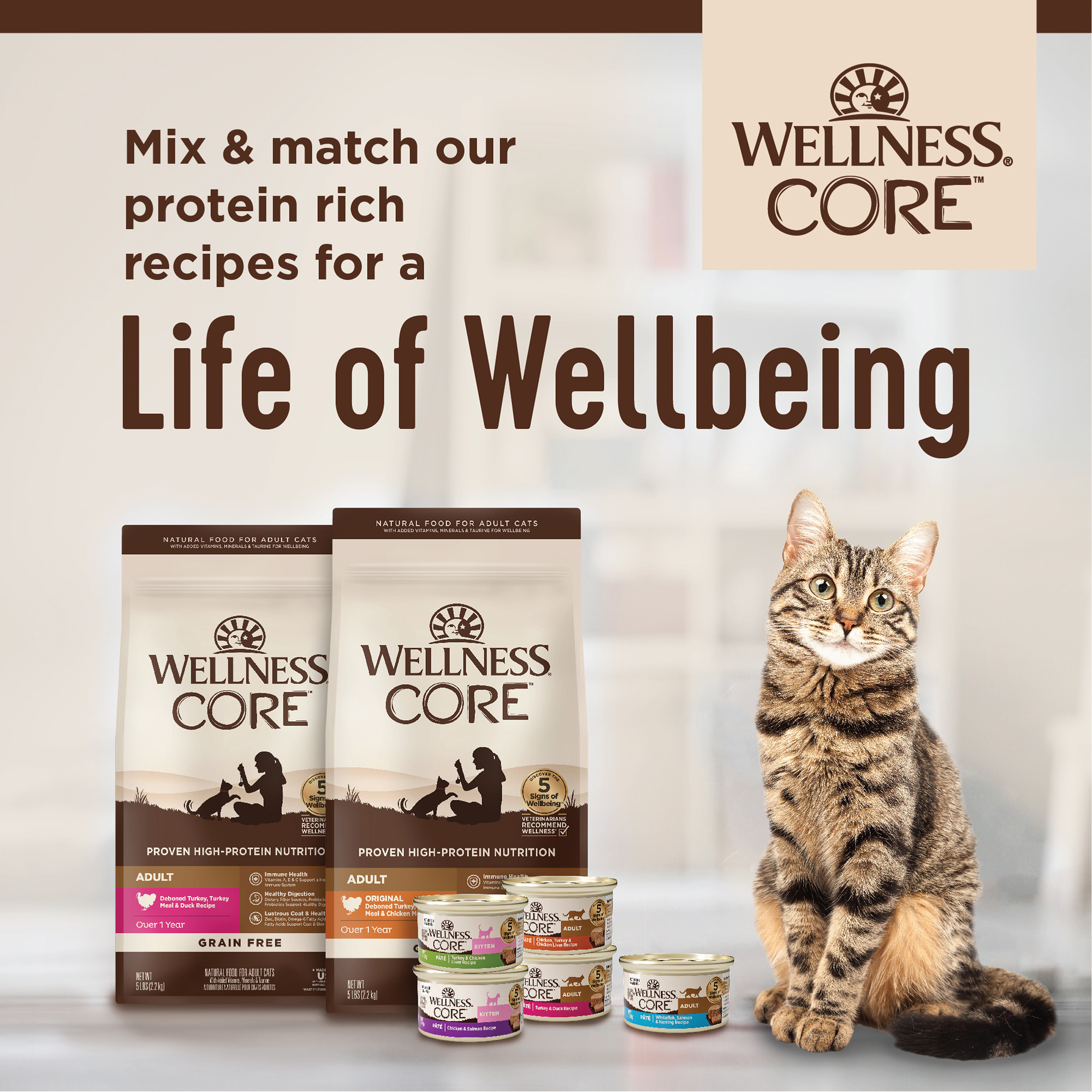 Wellness core clearance pate cat food