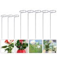 thumbnail image 1 of IFANLANDOR Cage de Support Réglable 12.6 Po pour Plantes en Fer pour l'Escalade de Tomates, 1 of 8