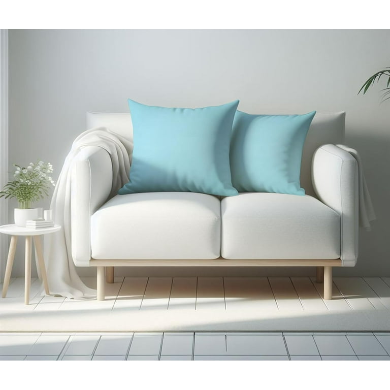 A1HC Throw Pillows Insert Hypoallergenic Down Alternative Filled Pack of 2 Light Blue 20x20 Inches Bed and Couch Pillows Indoor Decorative Pillows Walmart