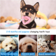 thumbnail image 4 of Juguetes para perros pequeños, paquete de 6 juguetes para perros pequeños, lindos juguetes para masticar cachorros que traen felicidad MFZFUKR CPB-US-CJZ674-9, 4 of 5