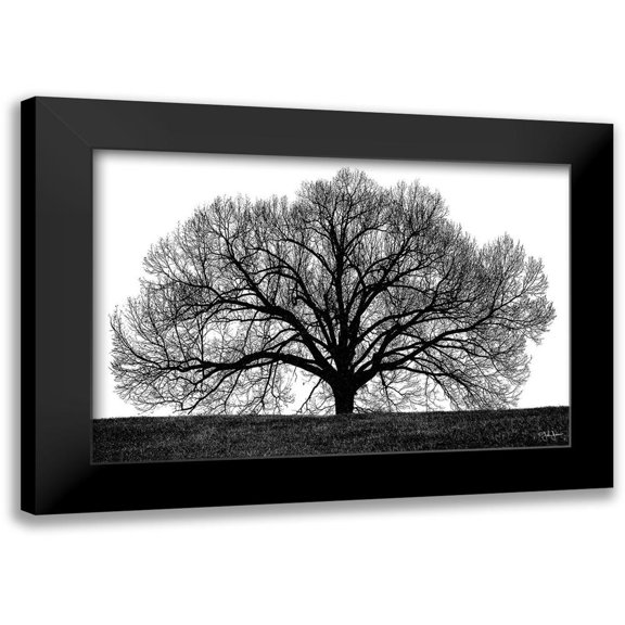Jones, John 14x11 Black Modern Framed Museum Art Print Titled - The Tree