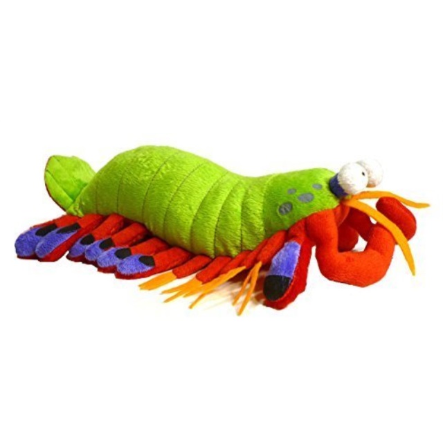 shrimp stuffed toy