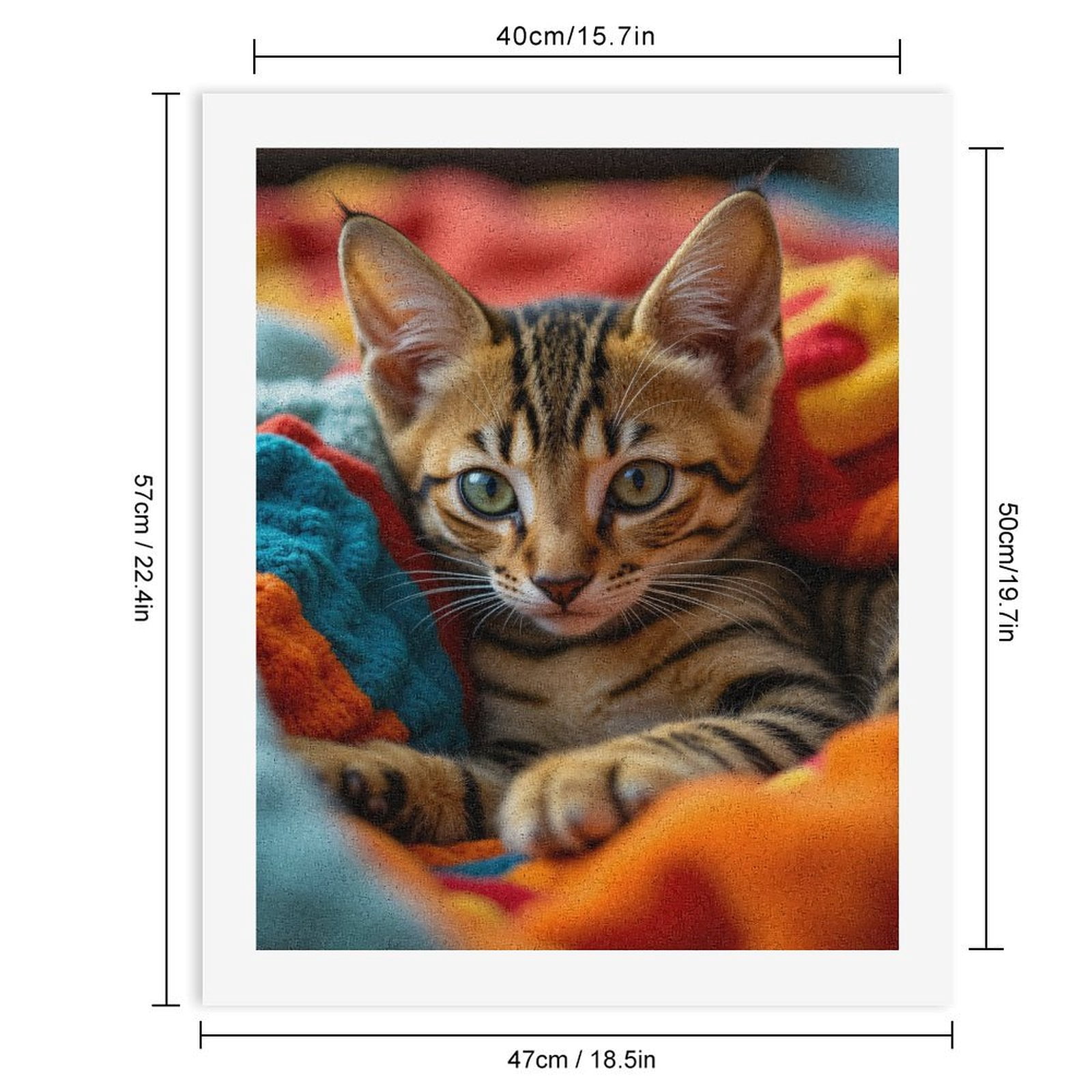 Paint By Numbers Kit for Adults Beginner - DIY Adorable Kitten Colorful Blanket Canvas Painting Kits for Adults, Frameless Paint By Number for Adults for Home Wall Decor 16x20 Inch