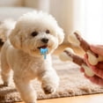 thumbnail image 4 of Interactive Dog Bone Chew, Beef Infused Durable Oral Care Breath Improving Anxiety Relieving Pet Daily Toy, 4 of 9
