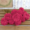 thumbnail image 4 of Flores Artificiales Tinsow Crisantemo Bola Roja 12 Piezas 28 cm, 4 of 8