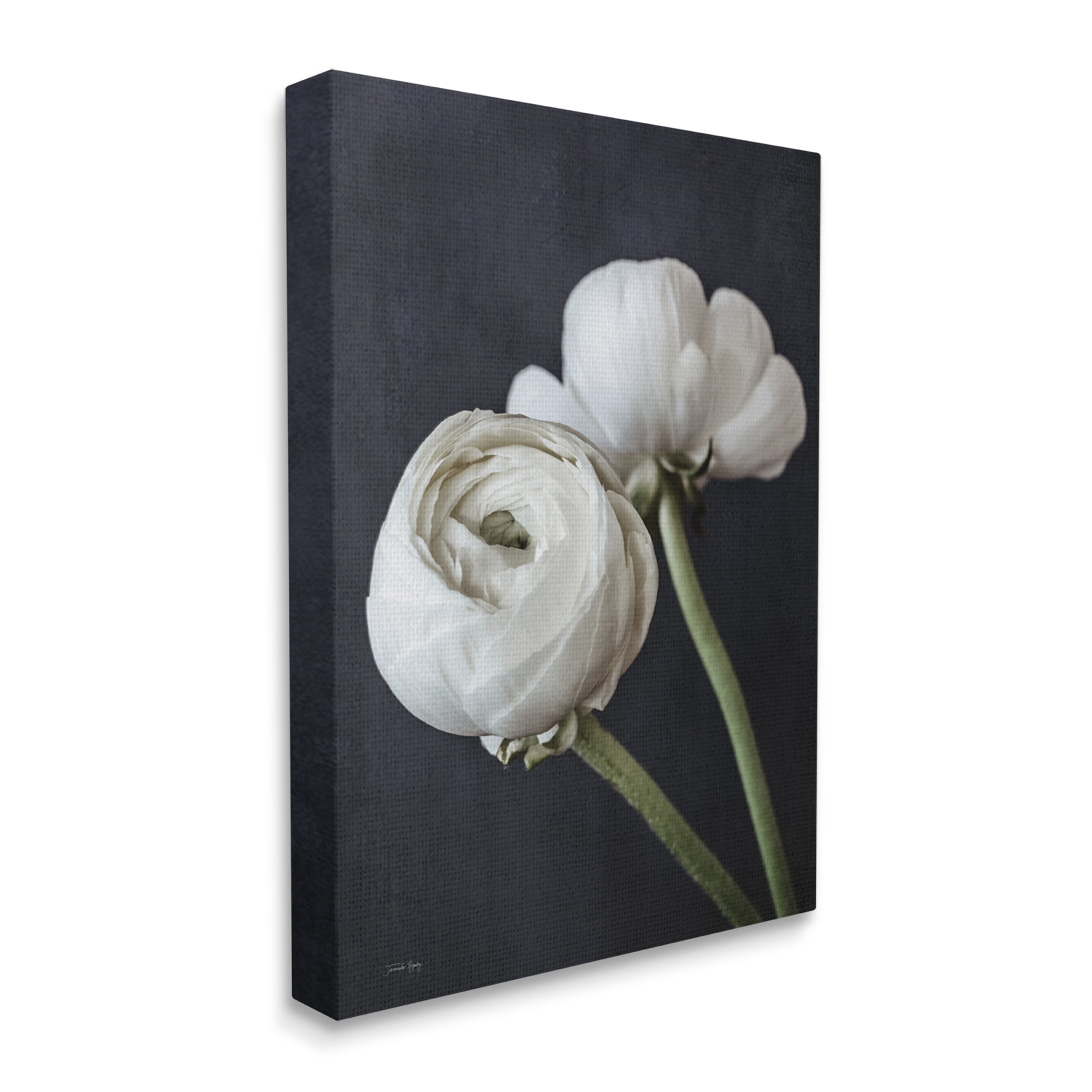 Stupell Industries Modern Ranunculus Flower Blossom Arrangement White Petals Photograph Gallery Wrapped Canvas Print Wall Art, Design by Jennifer Rigsby