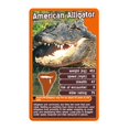 thumbnail image 4 of Juego de cartas BuyBocceBalls Top Trumps Depredadores más letales, 4 of 4