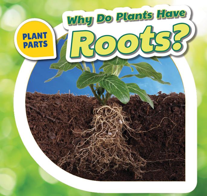 Plant Parts Why Do Plants Have Roots? (Paperback)