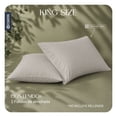 thumbnail image 3 of Fundas de Almohada King Size Esquimal Lyocell 2 Piezas Color Khaki, 3 of 8