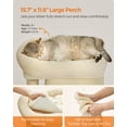 thumbnail image 3 of Cat Tree Feandrea UPCT611M01 Beige para gatitos de hasta 3 kg, 3 of 9