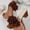 #0222-Brown, variant on Women's Square Toe Block Heel Mules, Floral Applique Open Toe Slides with Fabric Upper, Chunky Heel Dressy Sandals, Versatile Summer Party Footwear Gift
