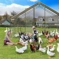 Litake Large Walk-In Chicken Coop with Waterproof & Anti-Ultraviolet ...