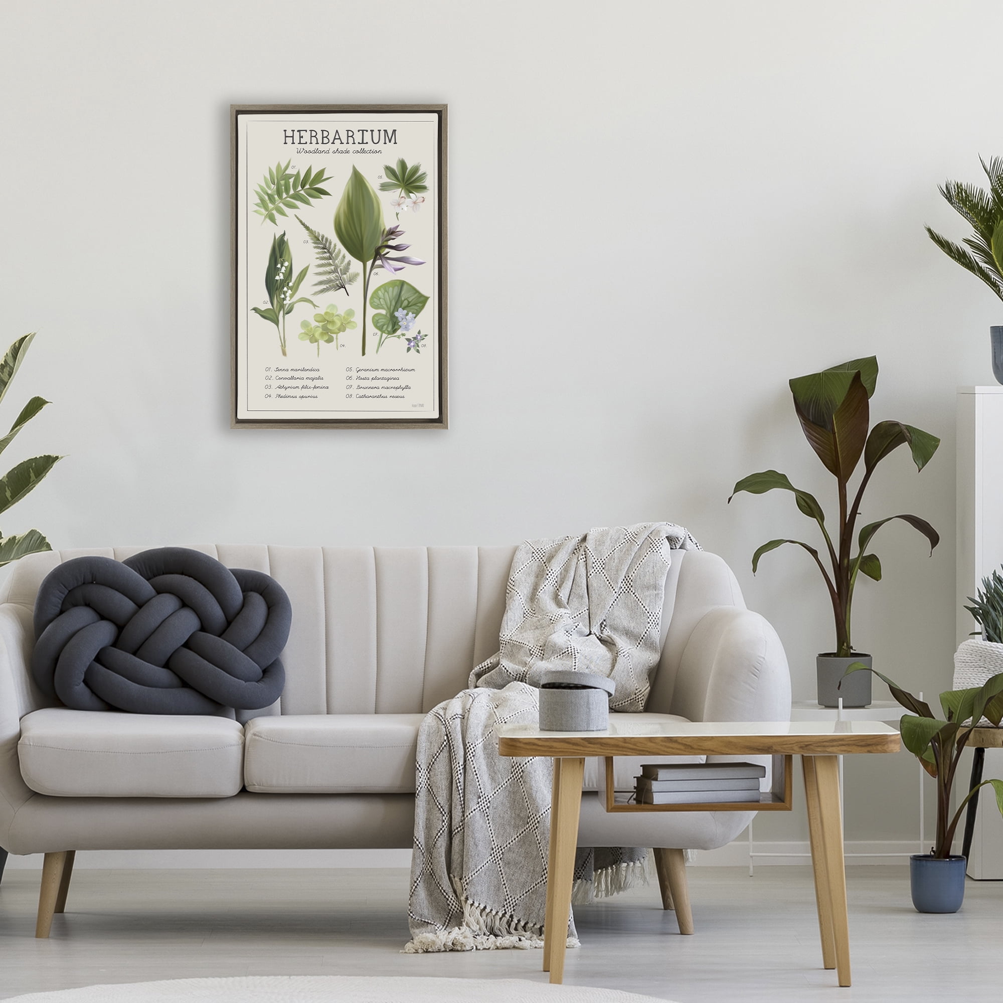 Stupell Industries Herbarium Woodland Shade Collection Brown Framed Floater Canvas Wall Art, design by House Fenway