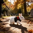 thumbnail image 4 of Rabbit Harness Leash Set, Adjustable Pet Vest with Breathable Mesh, Complete Rabbit Walking Gear for Small Pets Guinea Pigs, Black, 4 of 6