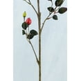 thumbnail image 3 of 12 Pieces of Rosehip Branch Red 31 inch, 3 of 3