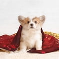 thumbnail image 4 of Rocae Red Gold Glitter for Pet Blanket Dog Blanket Cat Blanket Soft Sleep for Small Medium Pet-Large, 4 of 8