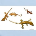 thumbnail image 2 of CafePress - Four Crested Geckos Infant Bodysuit - Baby Light Bodysuit, Size Newborn - 24 Months, 2 of 4