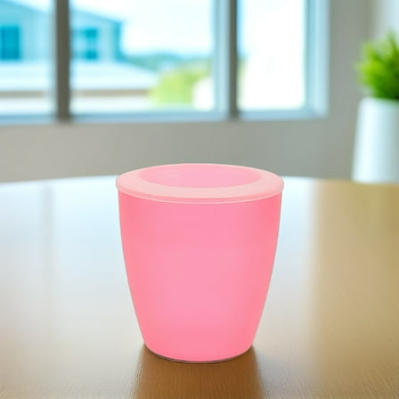 Worgeous  5 PCS Planter with Hydroponic Pots Indoor Flower Succulent Planters Pink