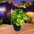 thumbnail image 3 of Maceta con planta artificial para decoración del hogar, oficina Storyland Storyland  7668, 3 of 3