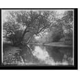 thumbnail image 2 of Historic Framed Print, Fishing on the Genegantslet, Smithville Flats, N.Y. - 3, 17-7/8" x 21-7/8", 2 of 9