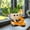 Orange, variant on Cute motorcycle cartoon potted plant, fun image flowerpot with sunglasses, suitable for succulent plants, herbs, and small potted plants, creative indoor and outdoor decoration