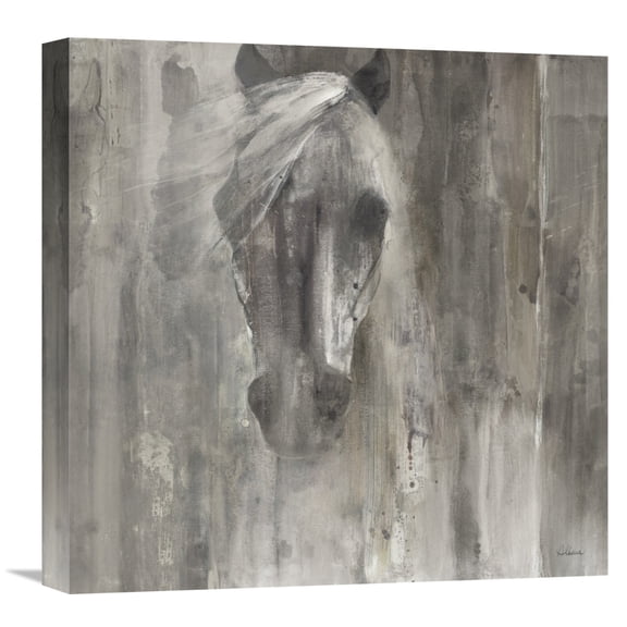 Global Gallery Albena Hristova 'Shadow Light' Canvas Wall Art