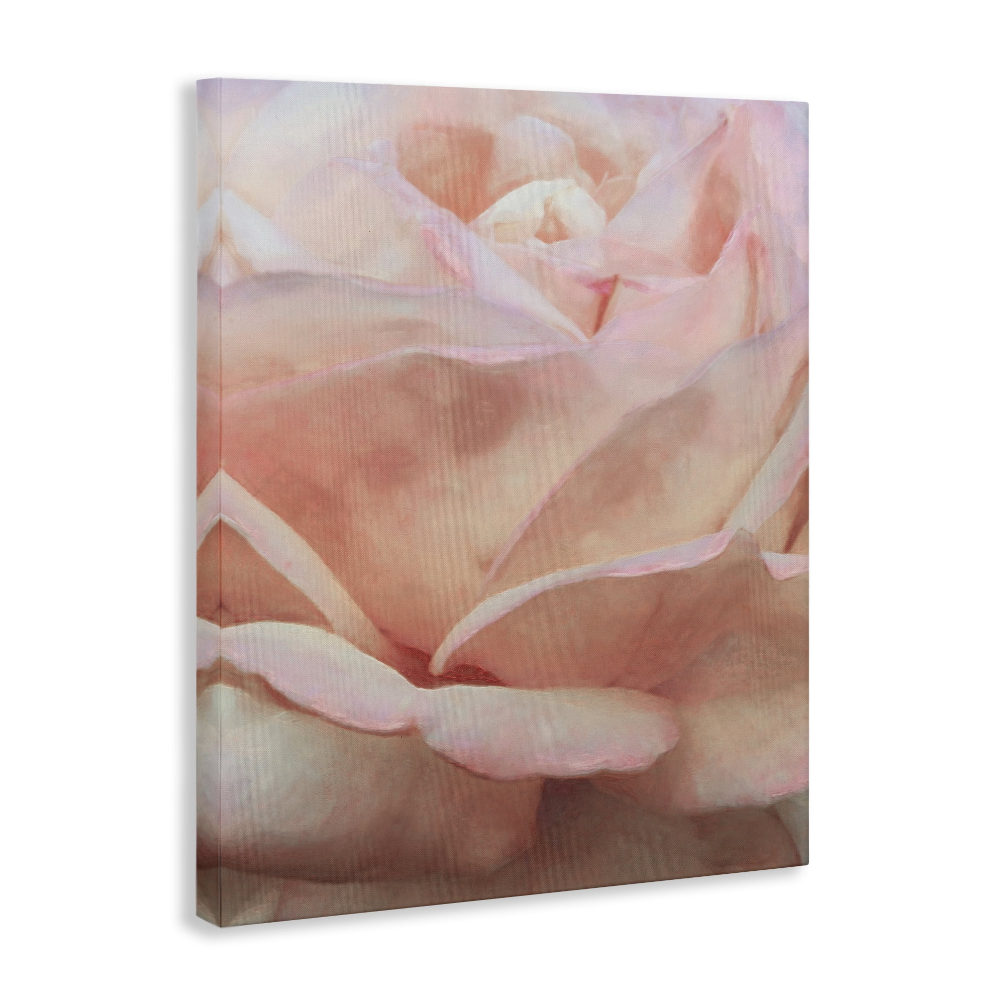 Stupell Industries Soft Rose Petals Botanical & Floral Painting Gallery Wrapped Canvas Art Print Wall Art, 16 x 20