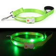thumbnail image 4 of Correa LED para perro, color lavanda, recargable, 1,5 m, con doble asa, 4 of 6