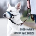 thumbnail image 2 of GoodBoy Dog Head Halter con correa de seguridad - Topes, 2 of 5