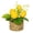 B, variant on Potted Artificial Lemon Tree in Woven Basket Bonsai , Realistic Yellow Lemon Greenery for Home Office Desk Decor, Kitchen Centerpiece, Wedding Party, Christmas Seasonal Accent