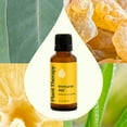thumbnail image 3 of Plant Therapy Immune Aid Essential Oil Blend 30 mL (1 oz) 100% Pure, Undiluted, Therapeutic Grade, 3 of 8
